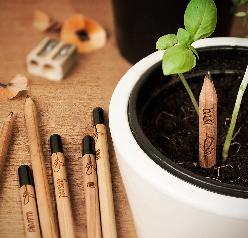 idea regalo matite da piantare Sprout