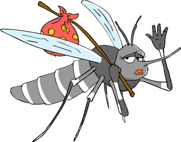 Zanzare-